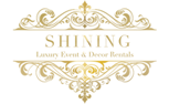 logo shining